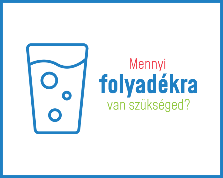 Tudásbázis