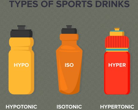 Sportital kisokos II.